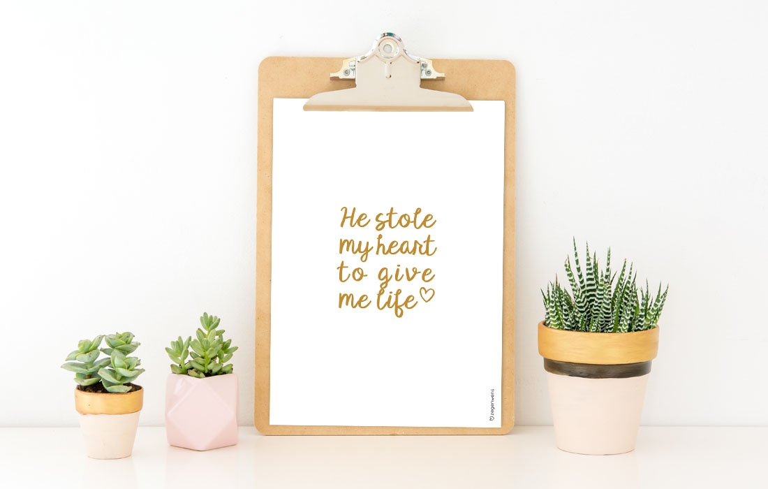 werkbestand-homepage-foto-stole-my-heart werkbestand-homepage-foto-stole-my-heart