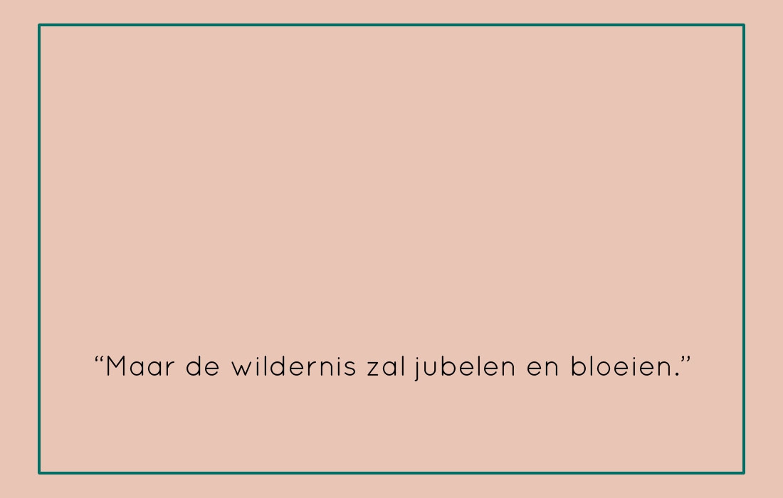 werkbestand-over-mij-tekst werkbestand-over-mij-tekst